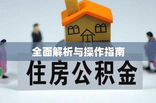 治多全面解析与操作指南