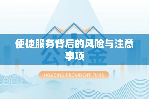 治多便捷服务背后的风险与注意事项