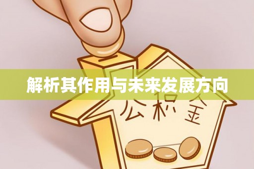 治多解析其作用与未来发展方向