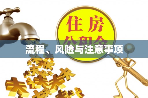 治多流程、风险与注意事项