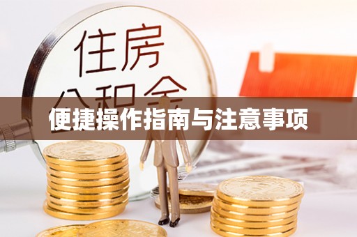 治多便捷操作指南与注意事项