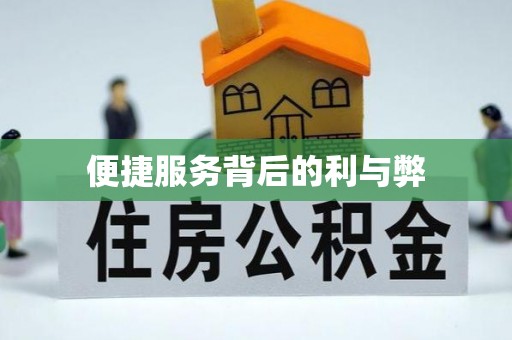 治多便捷服务背后的利与弊