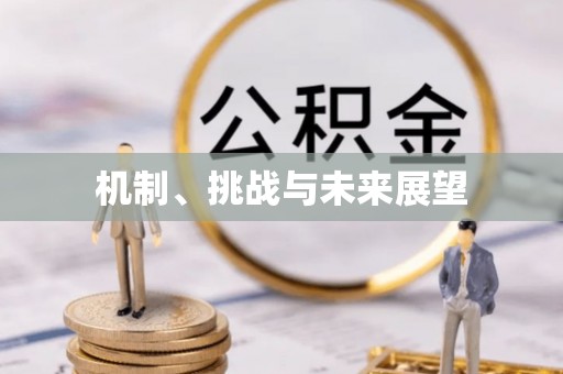 治多机制、挑战与未来展望